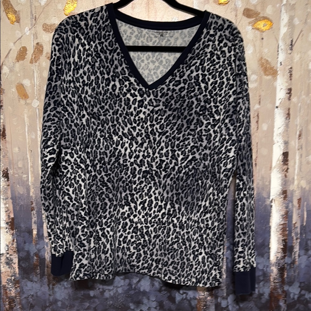 Leopard Print V-Neck Sweater 1X